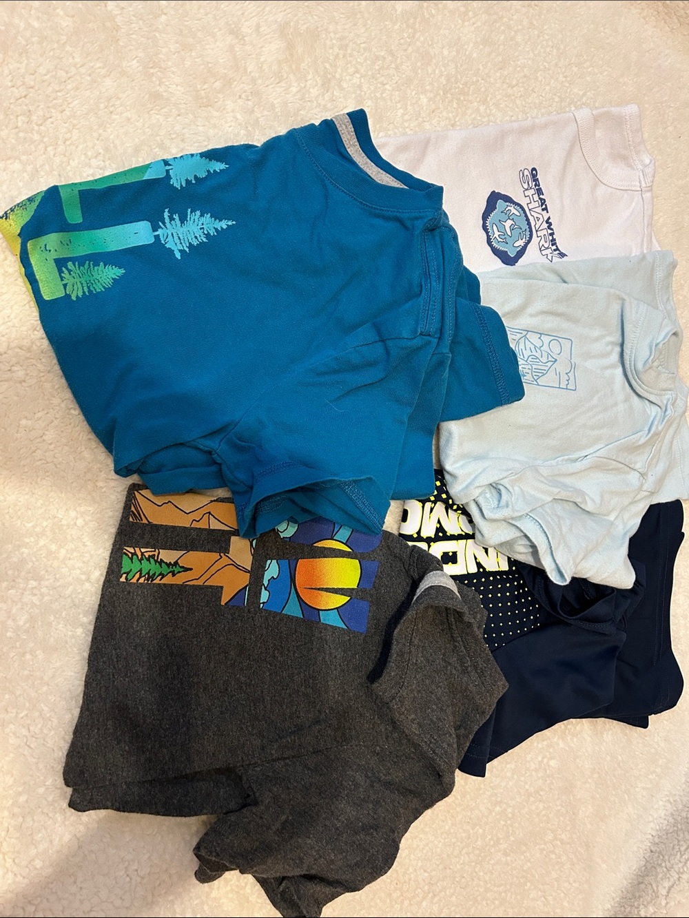 Eddie Bauer Gray Tee with Multicolor Outdoor Graphic